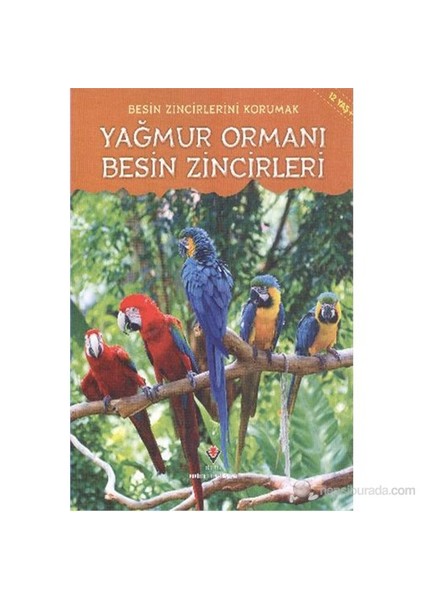 - Besin Zincirlerini Korumak - Yağmur Ormanı Besin Zincirleri
