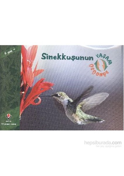 Sinekkuşunun Yaşam Döngüsü-David M.Schwartz