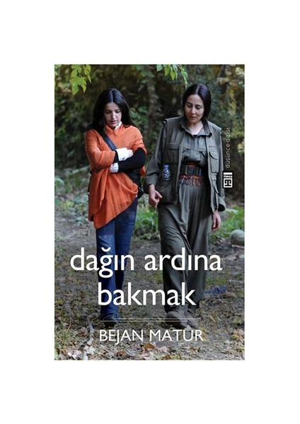 Dağın Ardına Bakmak - Bejan Matur