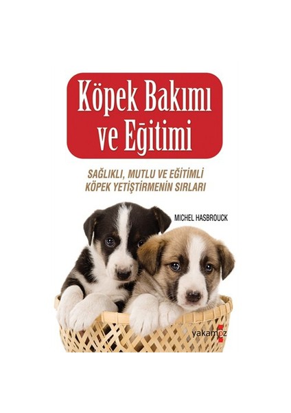 Köpek Bakımı ve Eğitimi - (Sağlıklı, Mutlu ve Eğitimli Köpek Yetiştirmenin Sırları)