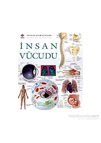 İnsan Vücudu (Ciltli)