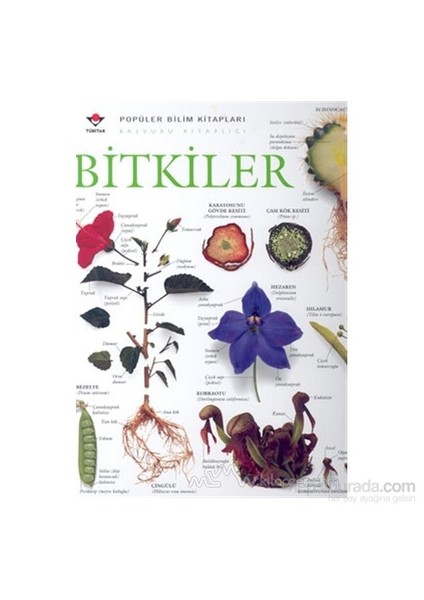 Bitkiler (Ciltli)