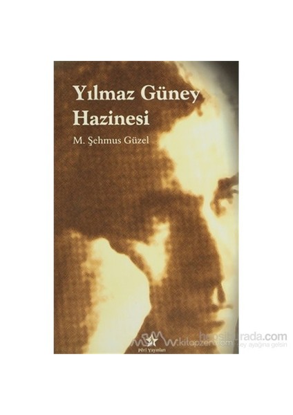 Yılmaz Güney Hazinesi-M. Şehmus Güzel