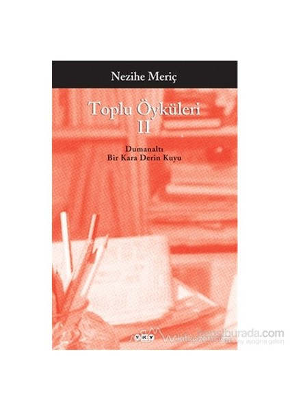 Toplu Öyküleri Cilt: 2: Bütün Yapıtlarına Doğru - Nezihe Meriç