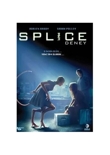 Splice (Deney)