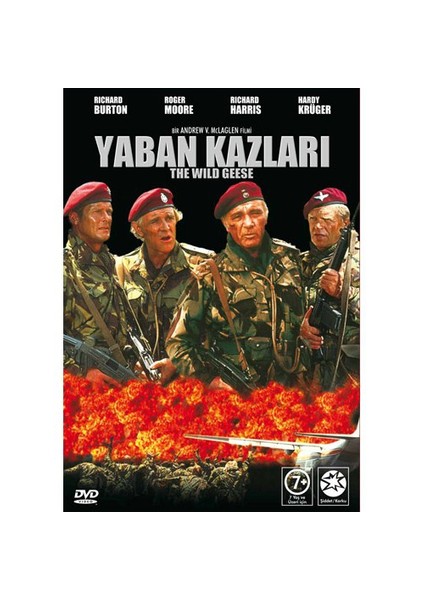 The Wild Geese (Yaban Kazları)