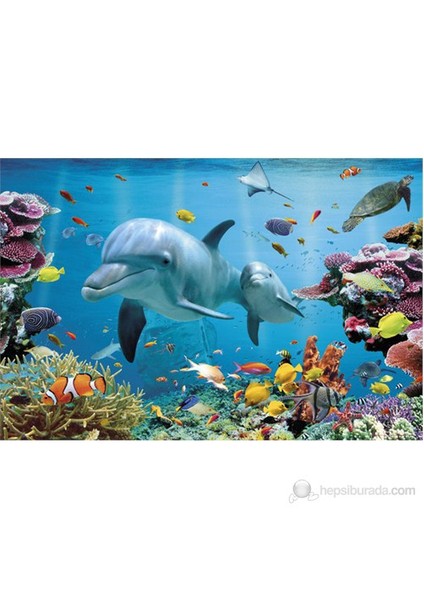 Tropical Underwater Ocean Maxi Poster
