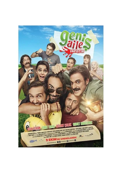 Geniş Aile: Yapıştır (DVD)