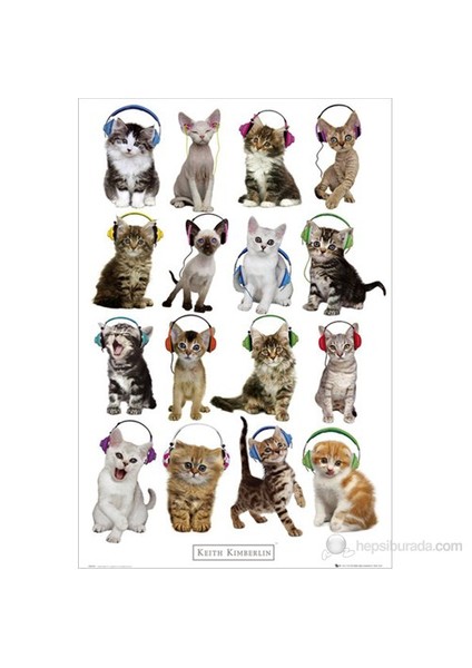 Keith Kimberlin Kittens Headphones Maxi Poster