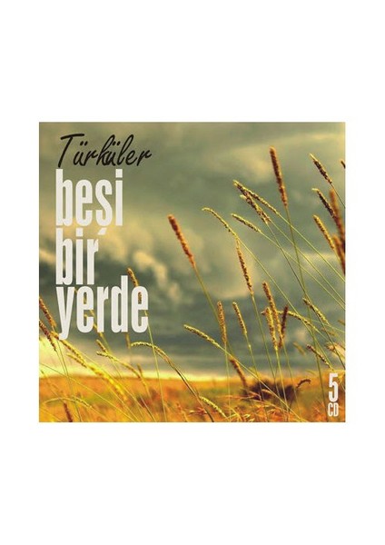 Türküler - Beşi Bir Yerde (5 CD)