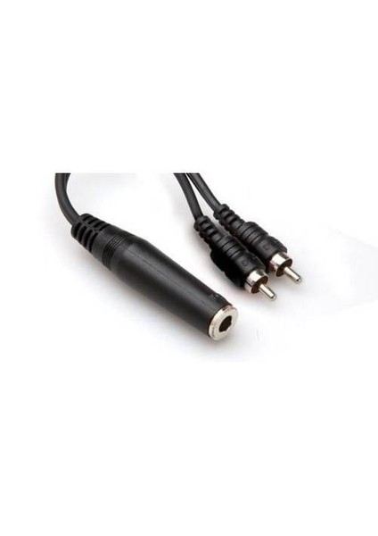 1/4 Ts (F)-Dual Rca (M) Y-Kablo Ypr-131