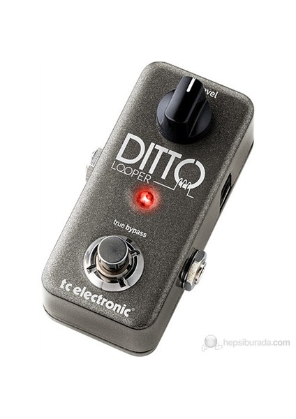 Ditto Looper