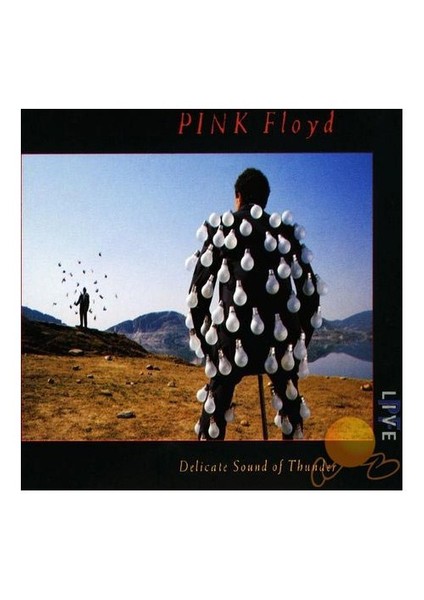 Pink Floyd - Delıcate Sound Of Thunder