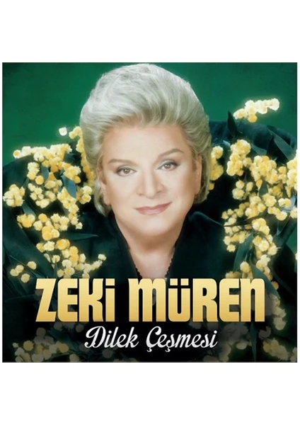 Zeki Müren - Dilek Çeşmesi (Plak)