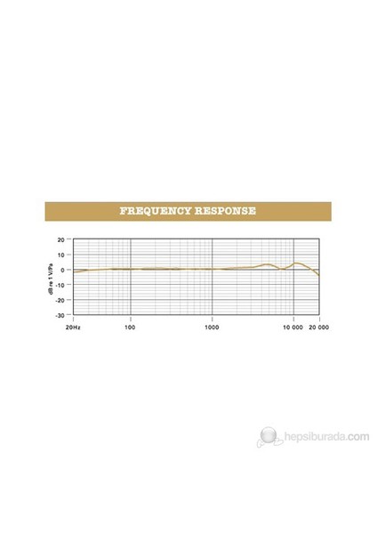 K2-Tüp Mikrofon modelleri