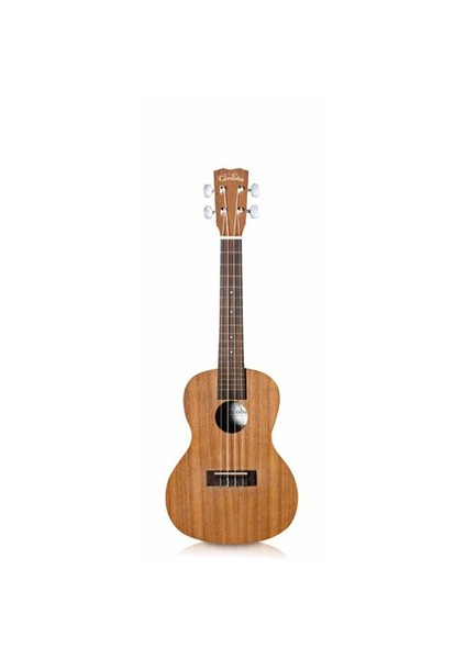 UP100 Concert Ukulele Seti