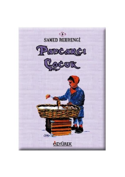 Pancarcı Çocuk
