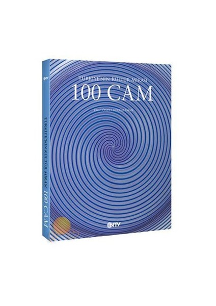 100 Cam