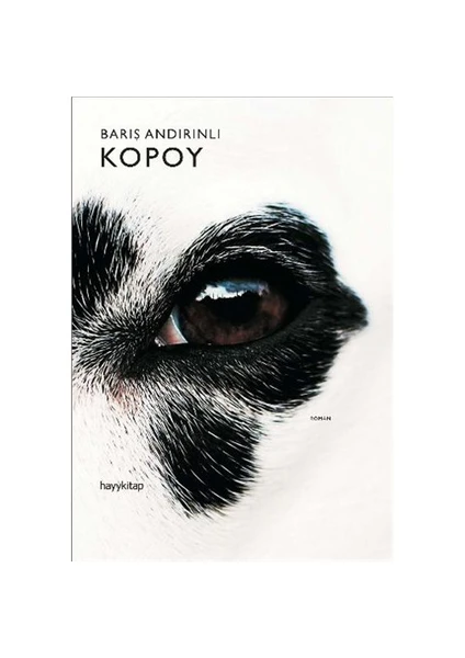 Kopoy - Barış Andırınlı