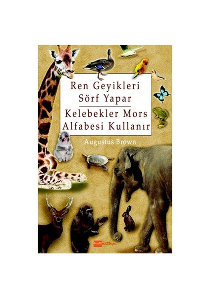 Ren Geyikleri Sörf Yapar / Kelebekler Mors Alfabesi Kullanır