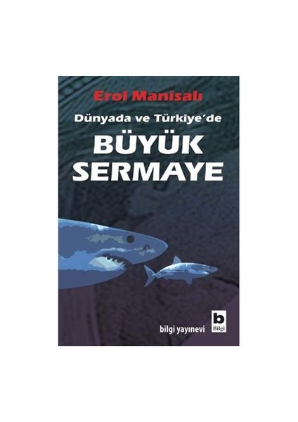 DÜNYADA VE TÜRKİYE’DE BÜYÜK SERMAYE