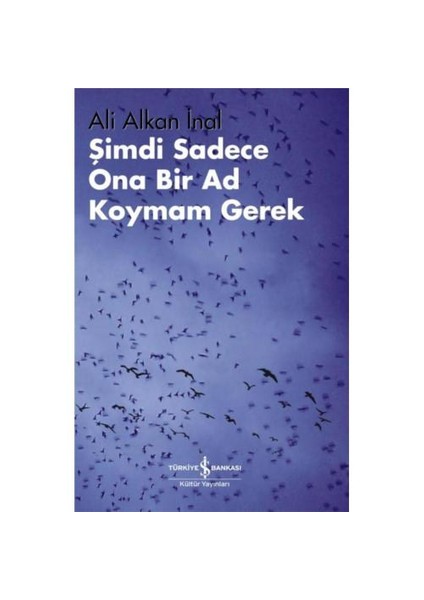Şimdi Sadece Ona Bir Ad Koymam Gerek - Ali Alkan İnal