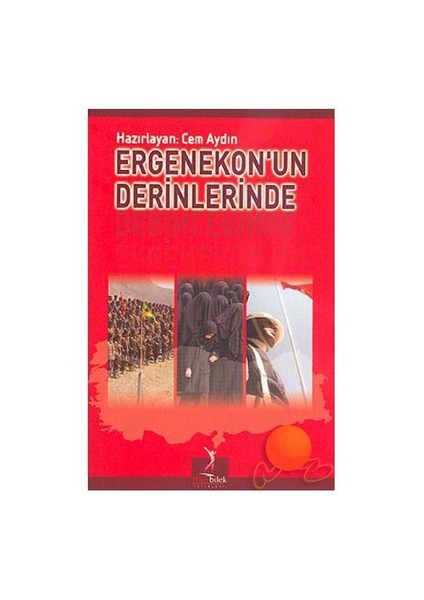 Ergenekon’un Derinliklerinde