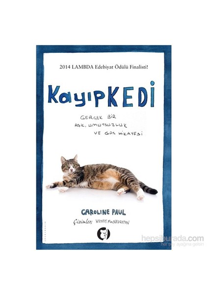 Kayıp Kedi-Wendy Macnaughton