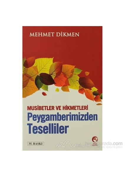 Peygamberimizden Teselliler-Mehmet Dikmen