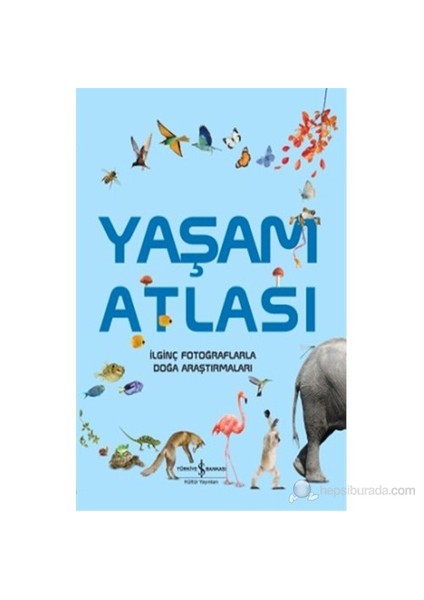Yaşam Atlası-Graham L. Banes