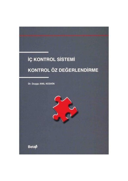 İç Kontrol Sistemi Kontrol Öz Değerlendirme - Duygu Anıl Keskin