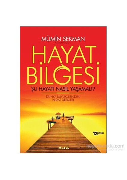 Hayat Bilgesi: Şu Hayatı Nasıl Yaşamalı?