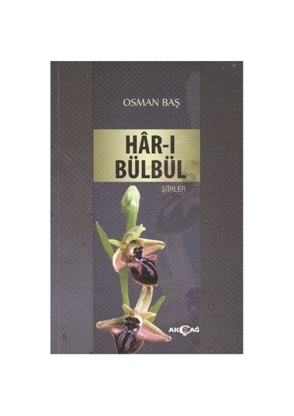 Harı Bülbül