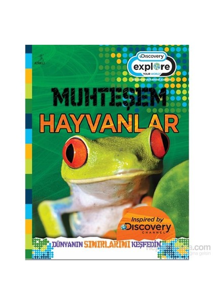 Muhteşem Hayvanlar