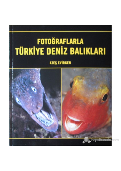 Fotoğraflarla Türkiye Deniz Balıkları