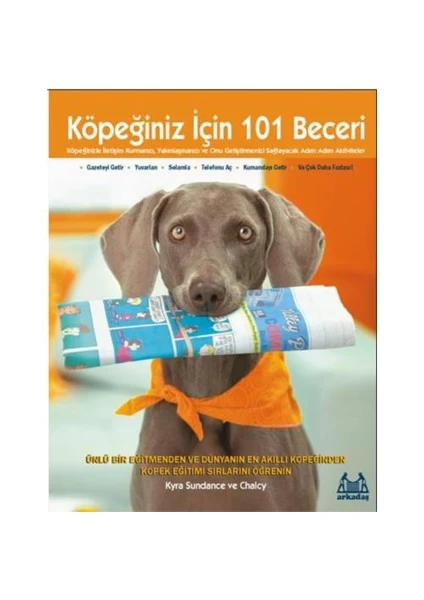 Köpeğiniz İçin 101 Beceri (Adım Adım Aktiviteler) - Chalcy