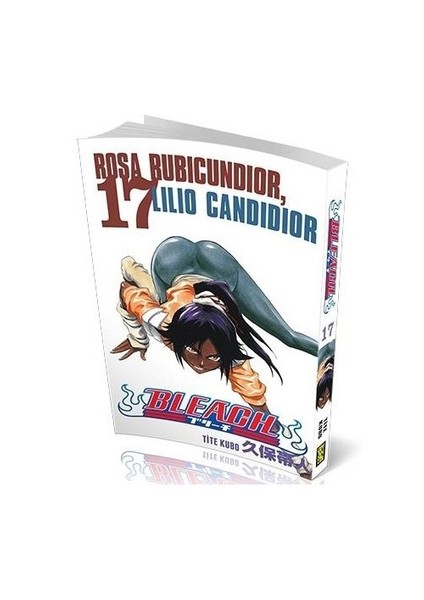 Bleach 17. Cilt Türkçe Çizgi Roman-Tite Kubo
