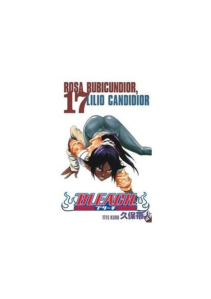 Bleach 17. Cilt Türkçe Çizgi Roman-Tite Kubo