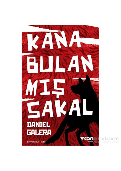 Kana Bulanmış Sakal - Daniel Galera