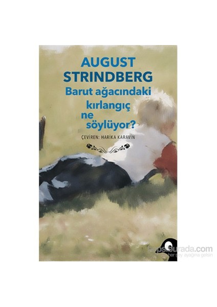 Barut Ağacındaki Kırlangıç Ne Söylüyor?-August Strindberg