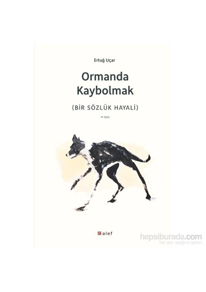 Ormanda Kaybolmak (Bir Sözlük Hayali)-Ertuğ Uçar