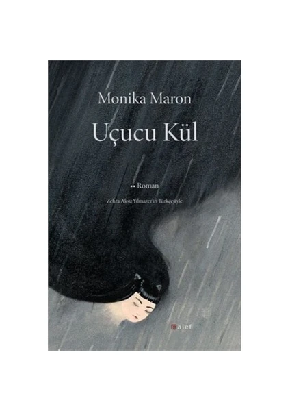 Uçucu Kül - Monika Maron