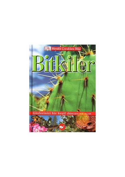 Bitkiler