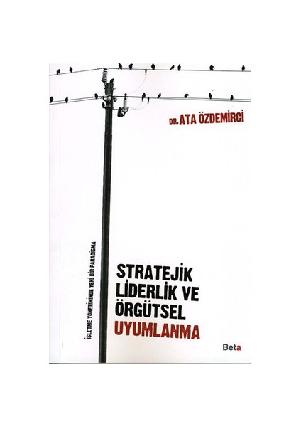 Stratejik Liderlik ve Örgütsel Uyumlanma - Ata Özdemirci