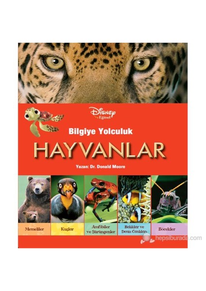 Disney Eğitsel - Bilgiye Yolculuk (Hayvanlar)-Donald Moore