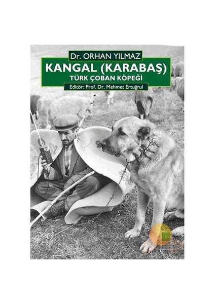 Kangal (Karabaş) Türk Çoban Köpeği - Orhan Yılmaz