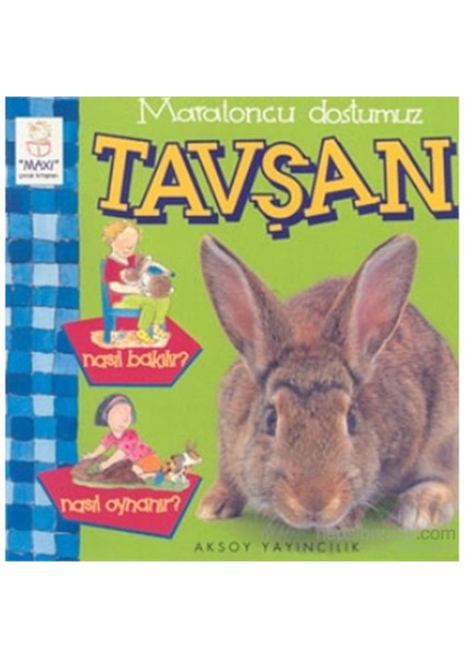 Maratoncu Dostumuz Tavşan Nasıl Bakılır? Nasıl Oynanır? - Christine Morley