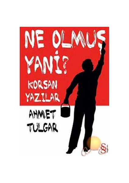 Ne Olmuş Yani?: Korsan Yazılar - Ahmet Tulgar