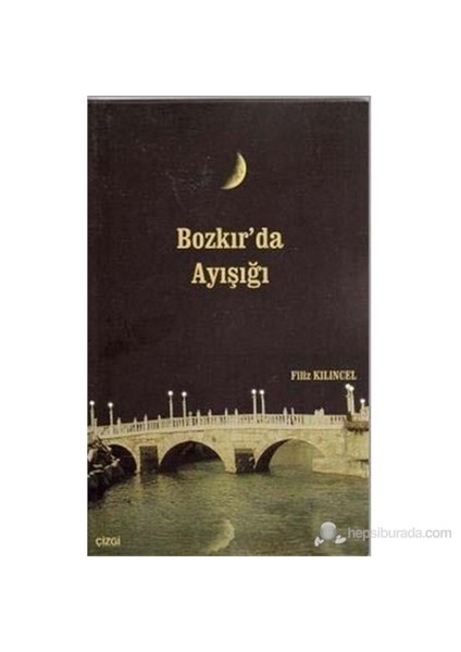 Bozkır'Da Ayışığı-Filiz Kılıncel