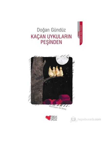 Kaçan Uykuların Peşinde-Doğan Gündüz